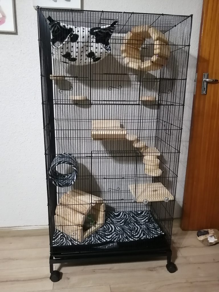 Cage With Accessories (chinchilla Setup)std Set Up Extra-large Cage 